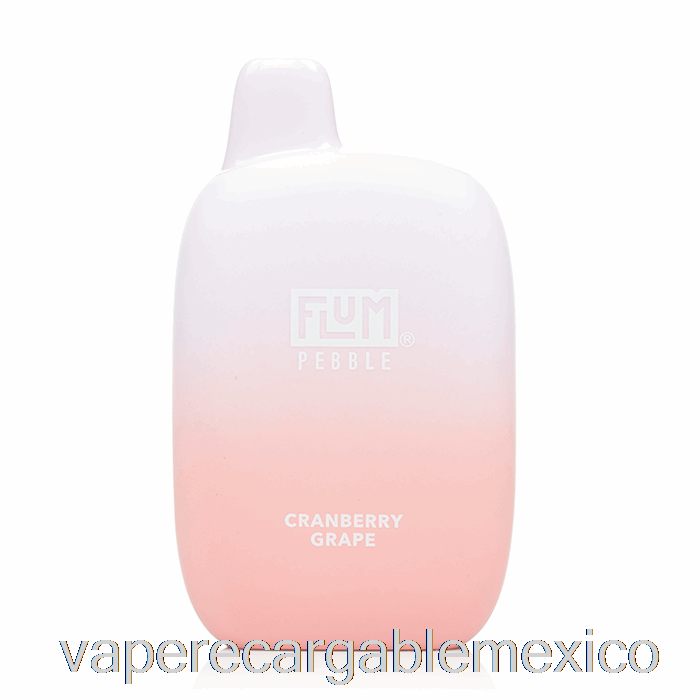 Vape Recargable Flum Pebble 6000 Desechable Arándano Uva